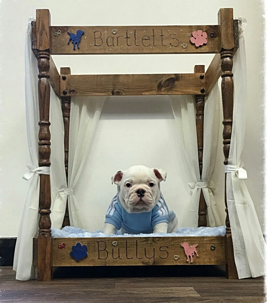 Four poster dog clearance bed for sale