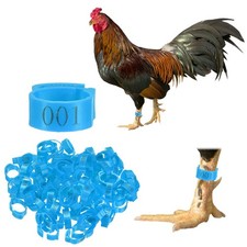 100-Pack Adjustable Chicken Leg Bands, 17-22 mm Plastic Chicken Leg Rings Blue 