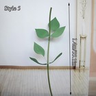 Foto 15 di 15