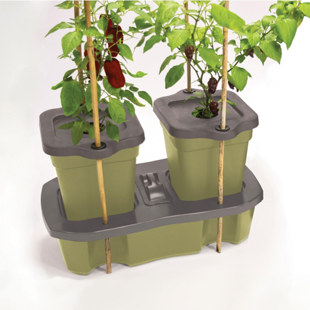 Garland Duogrow Self Watering Planter