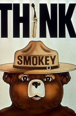 SMOKEY BEAR POSTER - Poster 20x30 THINK