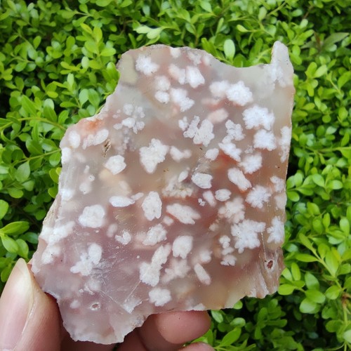 Muestra mineral de forma libre losa de ágata flor de cerezo natural sin pulir 26G 4843 - Imagen 6 de 12