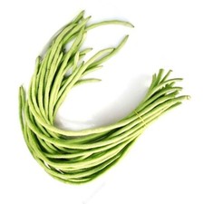 20 Yard Long Bean seeds Asian Chinese Long Bean String beans Productive USA