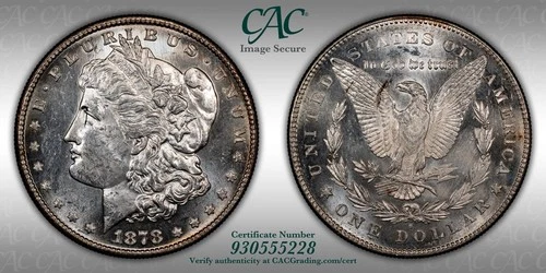1878 S MORGAN CAC, Planchet Error, UNC Details.  1 DAY, NO RESERVE AUCTION🔥