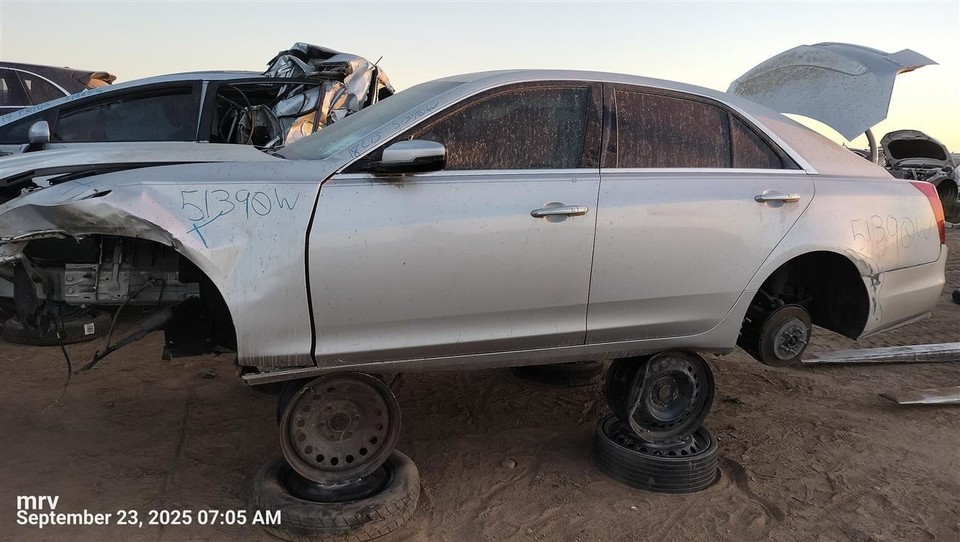 CTS 2019 Seat Belt Rear 10454639 | eBay