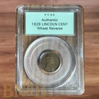 1929 Wheat Penny PCGS Sample Slab OGH