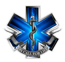 Ems Logo Z2 Blue Flames Vinyl Decal Sticker Cartruck Laptopnetbook Window