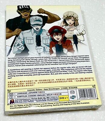 Anime DVD Hataraku Saibou Kaze Shoukougun Eng Sub&all Region L6