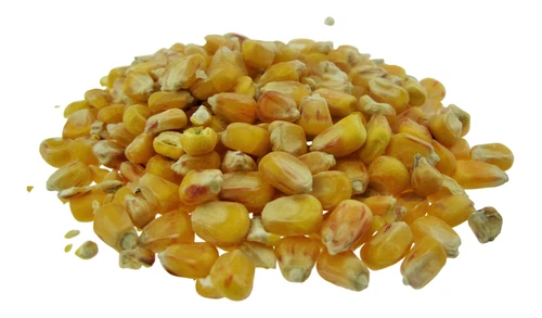 1,35 EUR / Kg HARTMAIS MAIS 10Kg gelber Mais Corn Futtermais