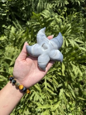 Agate Starfish 55 | Crystal Carvings, Druzy