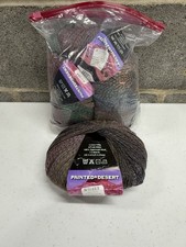 Painted Desert 100 Superwash Wool Yarn Shade 14 Spring Has Sprung 5 Skein Lot