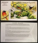Jersey Stamps "Birdlife II - Migrating Birds" 3 Value M/S First Day Cover 2008