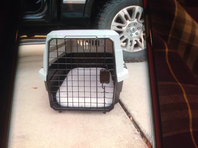 pet carrier top load