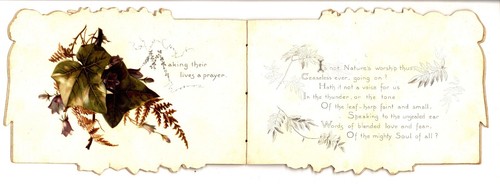 IVY LEAVES, Tuck booklet, floral images, Edwardian artist GIACOMELLI number 1180 - Imagen 4 de 7