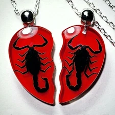 Red Heart Scorpion Set, 2 Halves Real Insect Jewelry, Heterometrus Spinifer