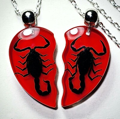 Red Heart Scorpion Set, Halves Real Insect Jewelry, Heterometrus