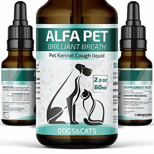 Alfa Pet Kennel Cough Medicine for Dogs and Cats/Organic ...