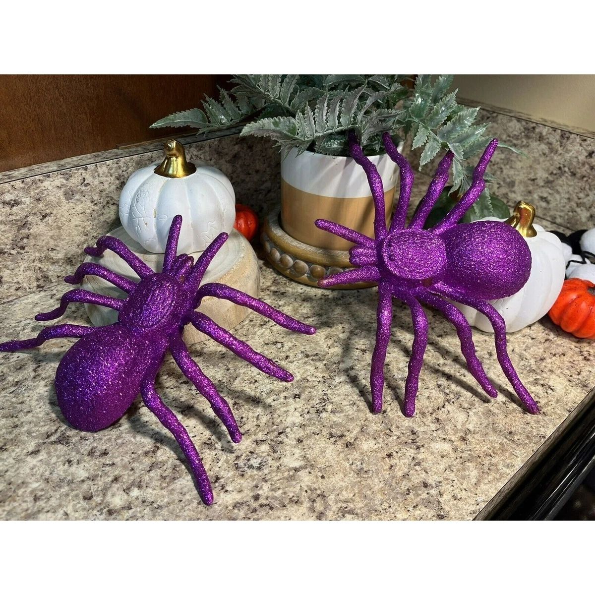 Purple Tarantulas
