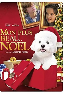 Le Plus Beau des Cadeaux