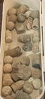 Lot Of 30 Various Union Confederate Civil War Bullets Manassas Virginia VA