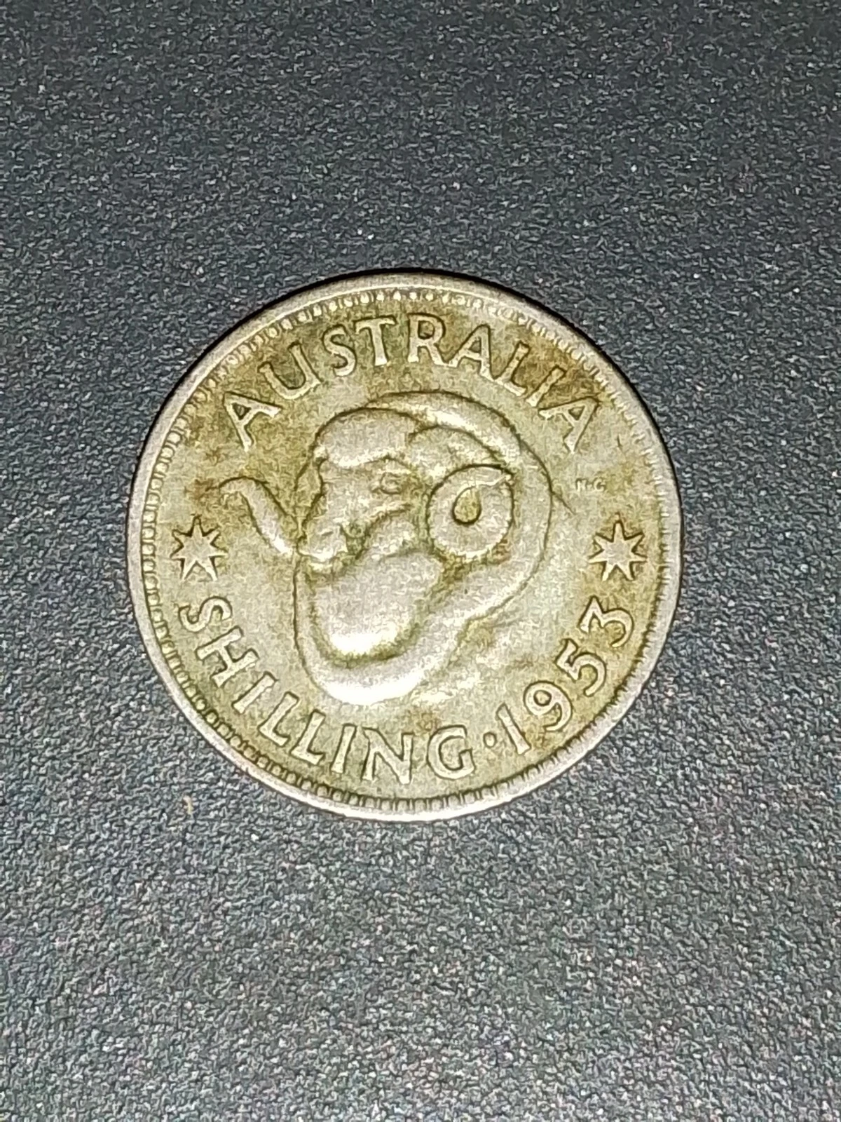 Picture 4 of 14