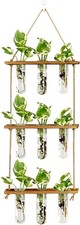 Wall Hanging Propagation Station W/ Wooden Stand Glass Test Tubes Tiered