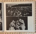 Foto 7 di 12