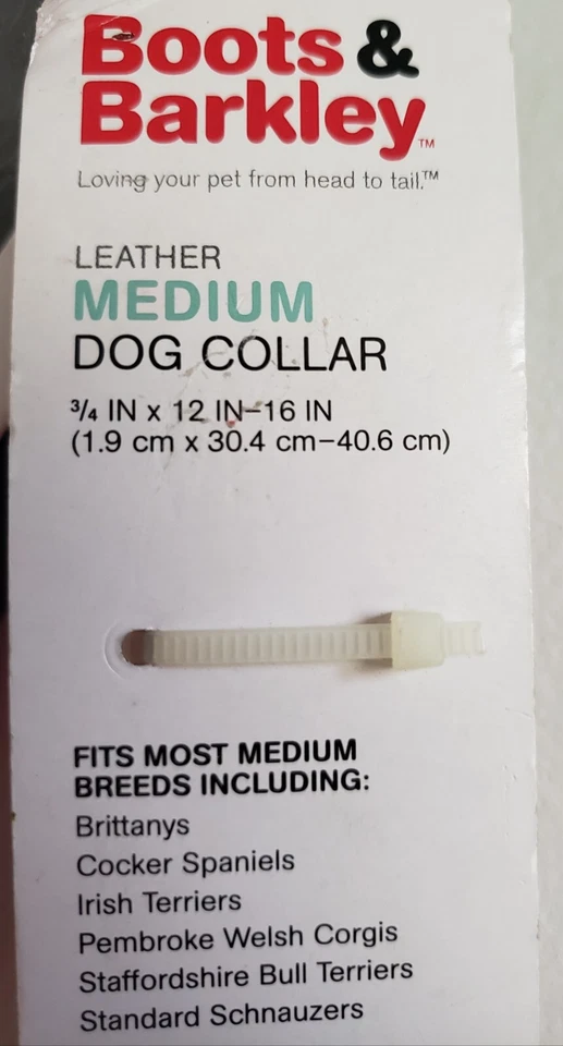 Red Leather Dog Collar for Medium Sized Dogs - Image 4 of 4