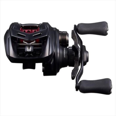 Daiwa Baitcasting Reel 25 Alphas BF TW 8.5L (left) | eBay