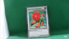 Naturia Leodrake - HAC1-EN121 - Common - 1st Edition - YuGiOh