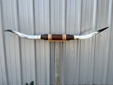 MOUNTED STEER HORNS 6 FEET  WIDE LONGHORN POLISHED MOUNT BULL COW