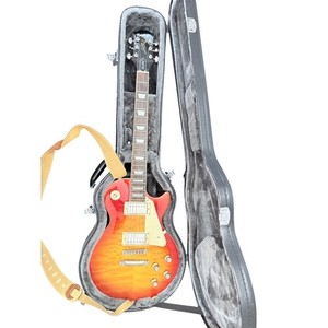 Epiphone Hardcase Les Paul | eBay