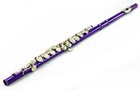 SKY Brand C foot Flute Guarantee Top Quality Sound Band Approved