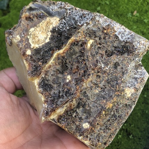 174GR AMBRA NATURALE PARZIALMENTE LUCIDATA, MARRONE SCURO CON STAMPA DI CORTECCIA - Foto 4 di 7
