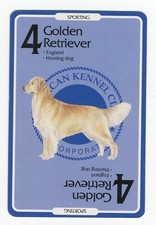 GOLDEN RETRIEVER AMERICAN KENNEL CLUB DOG COLLECTABLE TRADING CARD