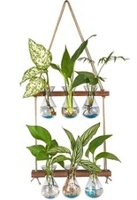 Wall Hanging Propagation Station with Wooden Stand 3 Bulb Brown-6 Bulb Vase