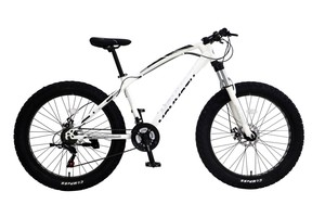 mammoth fat bike