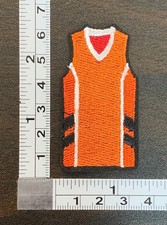 Sports team Jersey Embroidered Iron On Patch