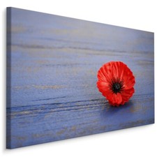 Canvas picture canvas wall art XXL poppy flower wooden background 1729