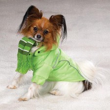 Cold Weather Dog Coat Puffer Jacket - Pug, French Bulldog, Chihuahua, Yorkie - M