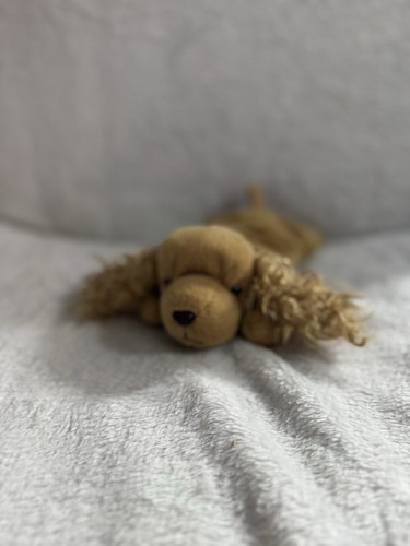 TY SPUNKY the DOG BEANIE BUDDY - Pre-Owned 8421094004| eBay