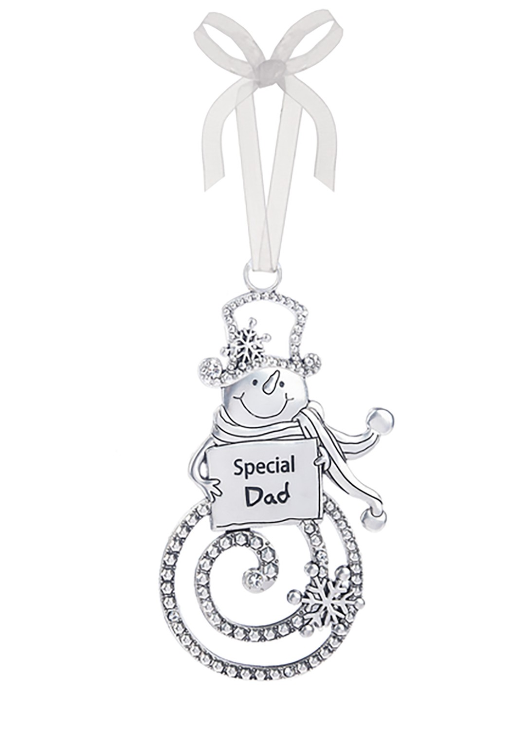 Украшение Ganz - Особый папа - Серебро