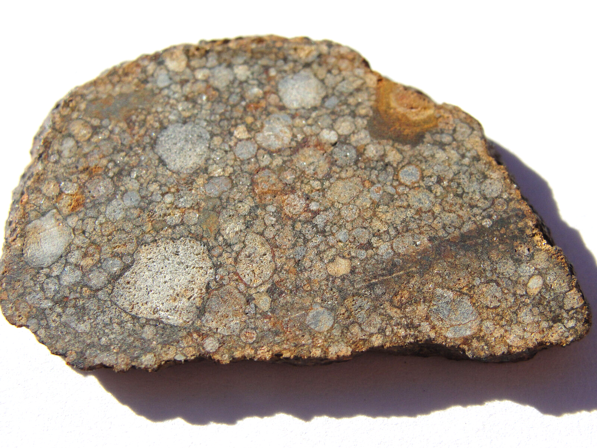 NWA 8576 Official Meteorite Chondrite - LL3.00 - G580-012 - 3.36g