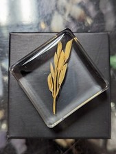 Rice Plant, Preserved In Resin, Educational Natural Curiosity Flower Taxidermy, 