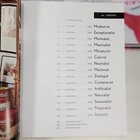 Foto 14 di 24