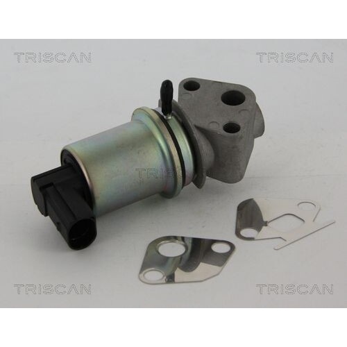 Agr-Ventil Triscan 8813 29044 FüR Seat Skoda VW-image