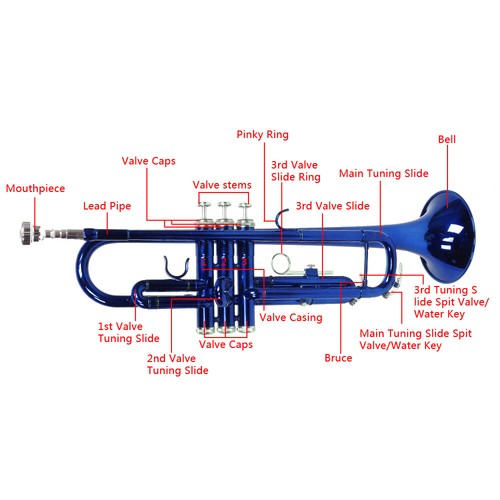 Hot Sale Professional Brass B Flat Trumpet Gloves Set Blue High Quality - Bild 12 von 12