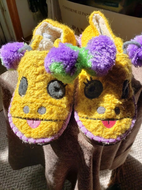 Tiger bear republic slippers sales