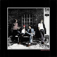 Palma Violets - Danger In The Club - Vinyl Record - E3447Z