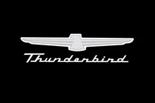 Fender Gripper FG2110 Fender Cover Thunderbird Logo